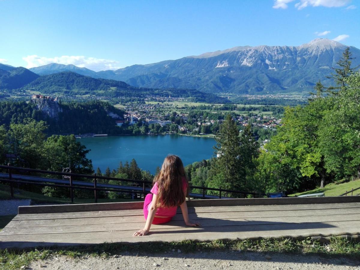 Apartma Carnica Bled Exteriér fotografie