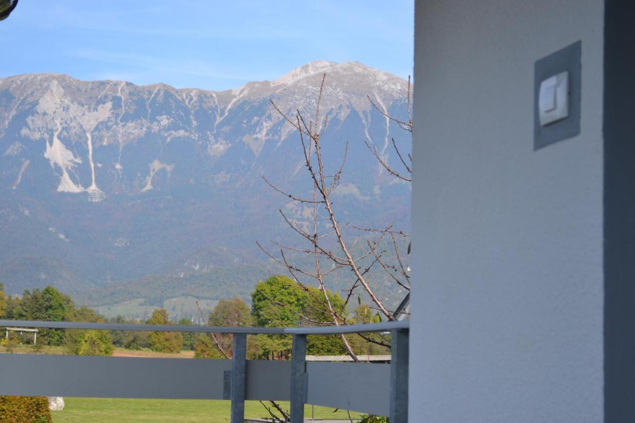 Apartma Carnica Bled Exteriér fotografie